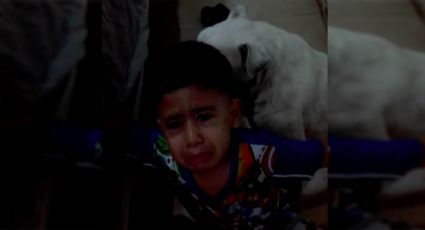 (VIDEO) Niño defiende a su perro de regaño: "El es como mi hermanito"