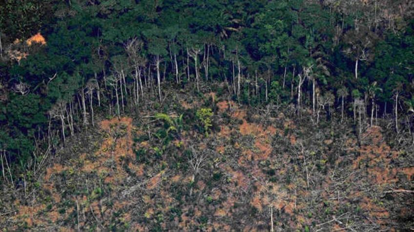 En medio del Covid-19, la Amazonía brasileña aumenta 63.75% en deforestaciones