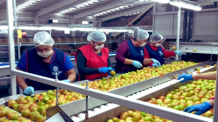 México logra cuatrimestre histórico de exportaciones agropecuarias