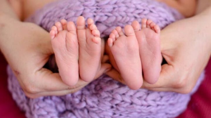 Horror en Brasil: El perro de una pareja asesinó a sus gemelas recién nacidas