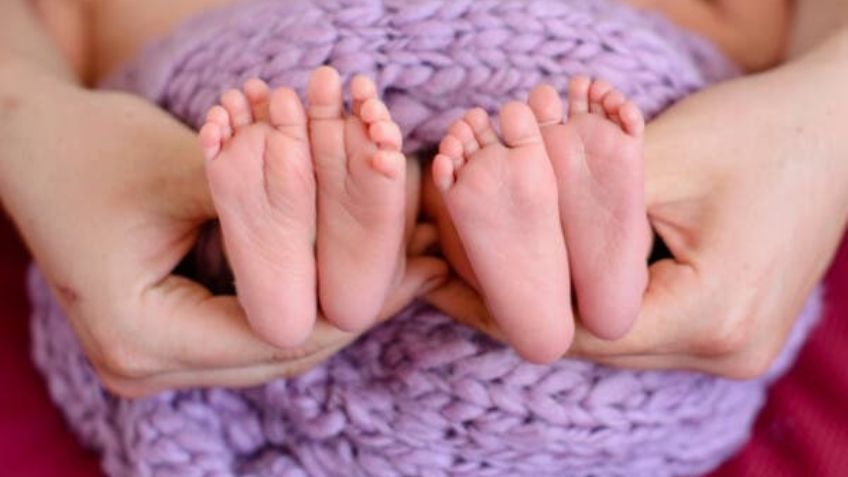 Horror en Brasil: El perro de una pareja asesinó a sus gemelas recién nacidas