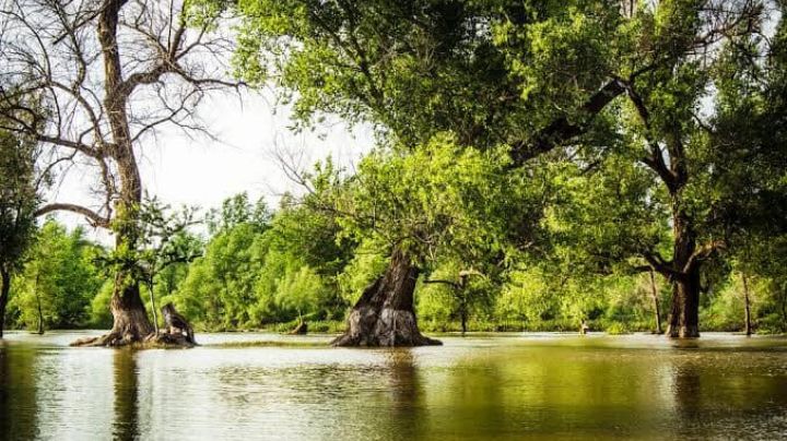 Cesar Granich: “Rescatar la naturaleza es una responsabilidad de todos”