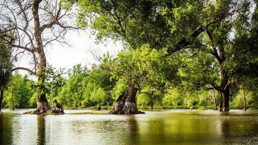 Cesar Granich: “Rescatar la naturaleza es una responsabilidad de todos”