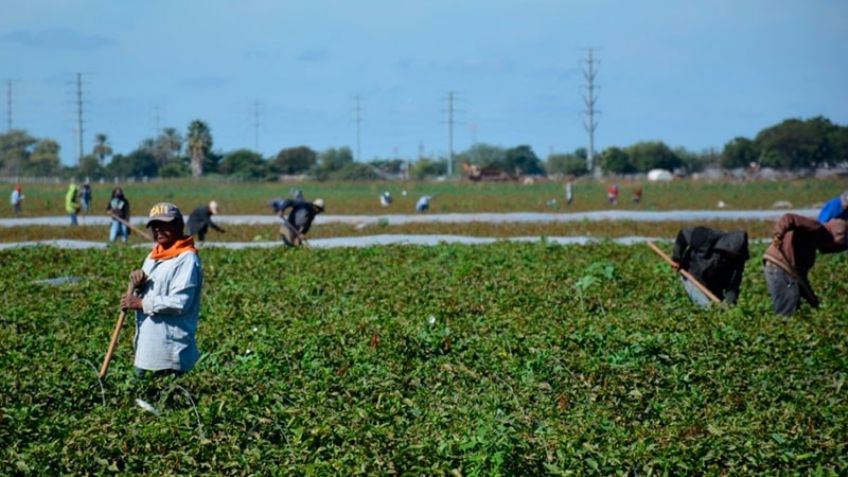 Aphym y Ahifores brindan capacitación a productores hortofutícola