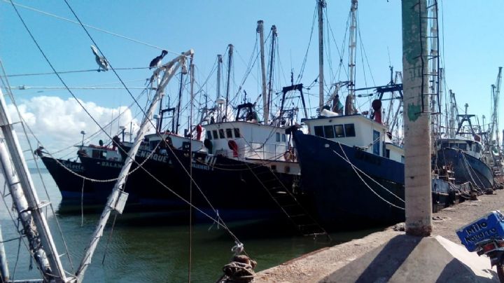 Capitanía del Puerto en el sur monitorea trayectoria del huracán 'Genevieve'