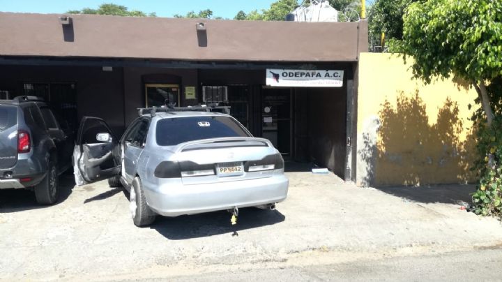 Odepafa en Sonora solicita a dueños de chocolates tramitar seguro de daños a terceros