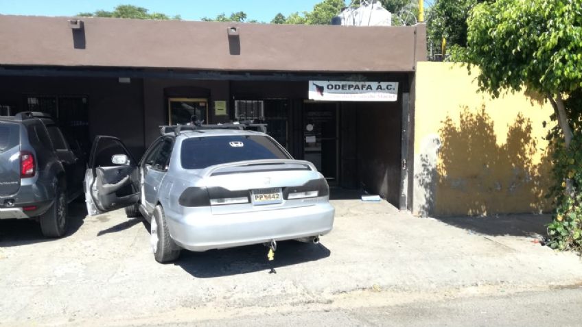 Odepafa en Sonora solicita a dueños de chocolates tramitar seguro de daños a terceros