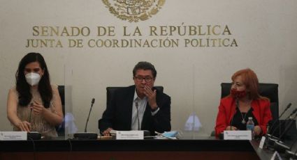 Rosario Piedra se reúne con senadores; piden su renuncia de la CNDH