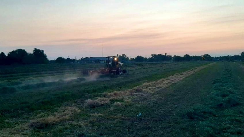 "Presupuesto para 2021 un claro mensaje de desprecio para el campo"
