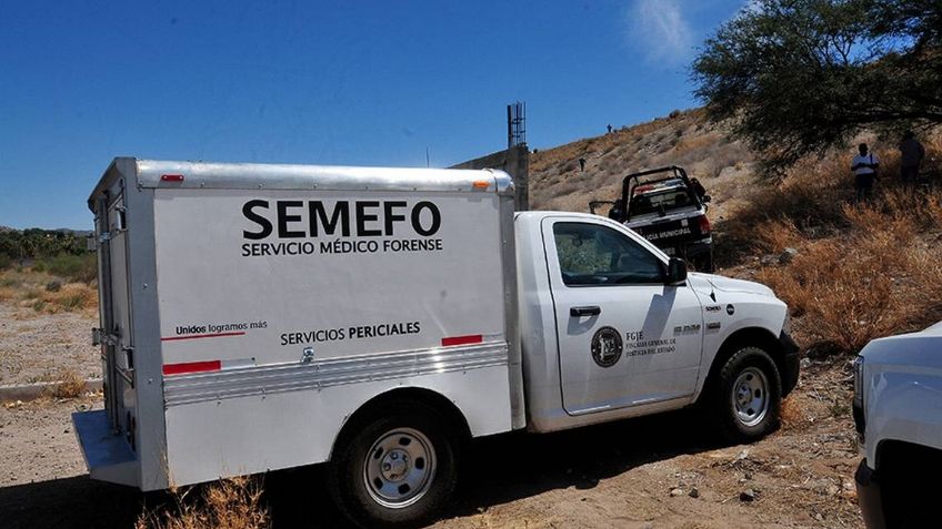 Ciudad Obregón: Muere sexagenario atacado por abejas cuando pastoreaba borregos