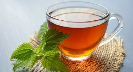 Té de menta: Protege tu cuerpo de enfermedades respiratorias con este sencillo consejo