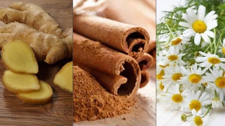 Tés naturales para controlar las molestias causadas por los cólicos menstruales