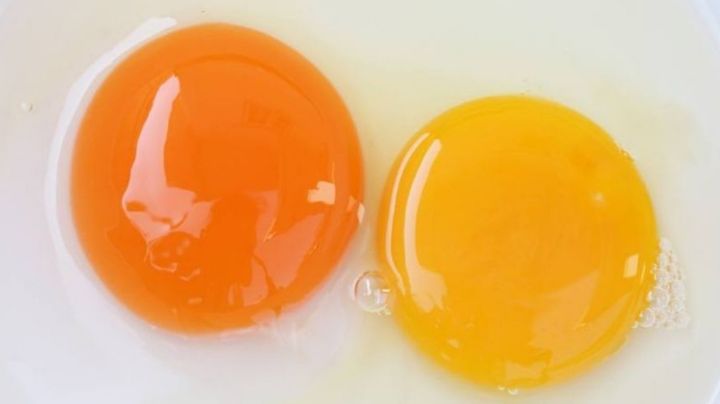 ¿Sabías que las propiedades de la yema de huevo fortalecen la mucosa de los pulmones?