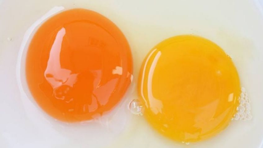 ¿Sabías que las propiedades de la yema de huevo fortalecen la mucosa de los pulmones?