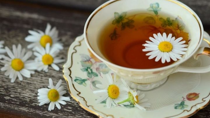 Conoce los grandes beneficios que otorgan a tu cuerpo las propiedades del té de manzanilla