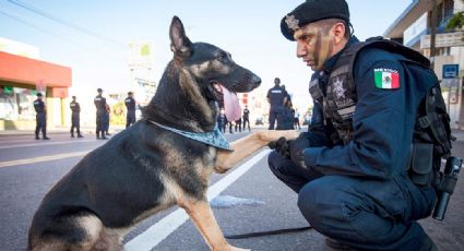 FOTOS: Policía enternece a todo Facebook al consolar a perrito abandonado