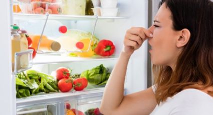 Estos consejos ayudan a eliminar el mal olor de tu refrigerador provocado por la humedad