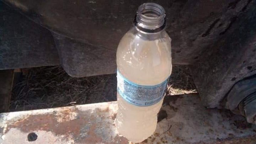 "Es un abuso": Dan de tomar agua sucia a jornaleros de Altamira, en Tamaulipas