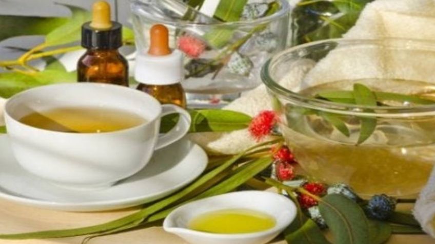 Receta para prepara té de eucalipto, jengibre y limón, para combatir los resfriados