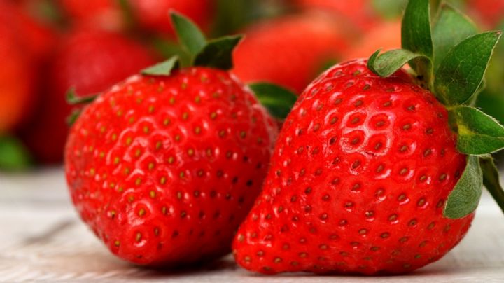 ¡Hay insectos en tus fresas! Los científicos determinan qué tan saludable es consumir esta fruta