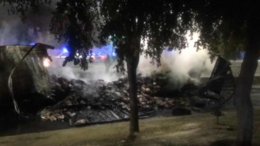Hermosillenses rapiñan carne de un tráiler que se incendió en el boulevar Encinas
