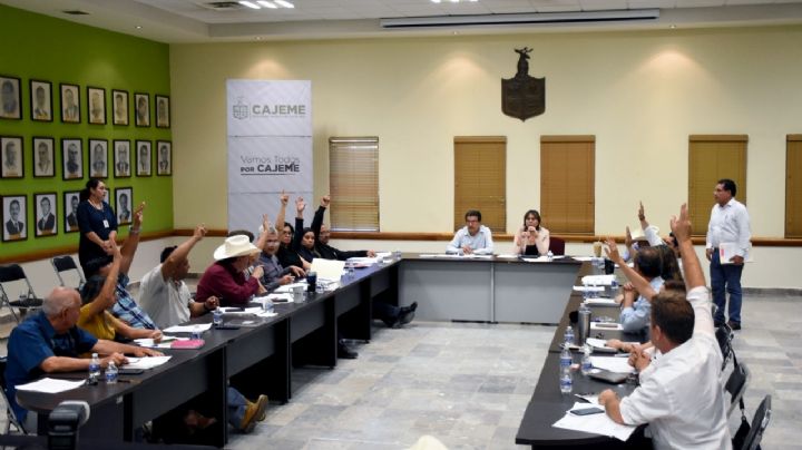 Regidores buscan regular el servicio de grúas en el municipio de Cajeme