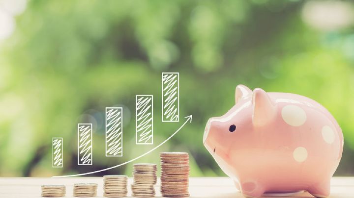 Profeco: Estos son los 7 hábitos que tiene un consumidor responsable