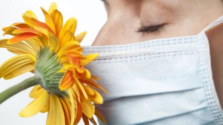 ¿Tuviste Covid? Algunos alimentos te ayudarían a recuperar el olfato