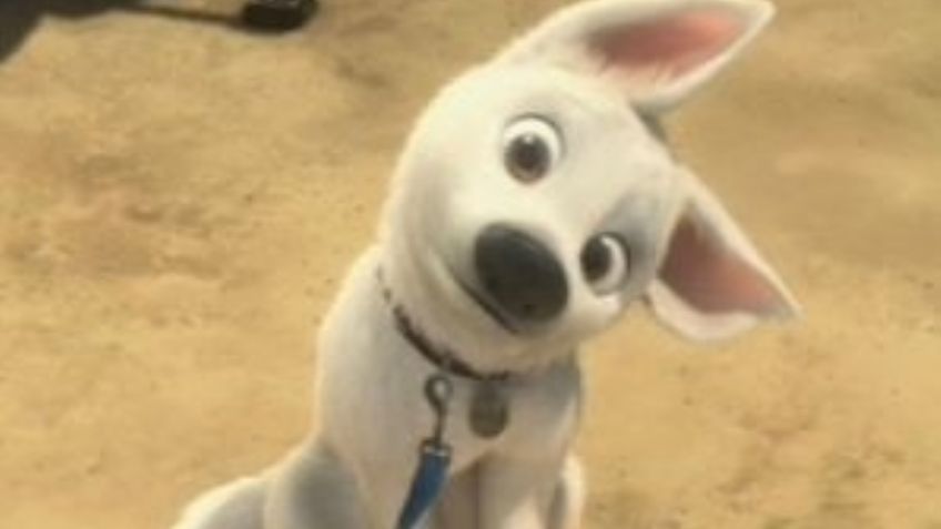 ¡Firulais quedó en el pasado! Estos son los nombres de perros inspirados en personajes de Disney
