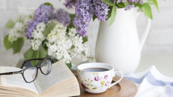 ¿Insomnio? Esta infusión relajante te ayudará a conciliar el sueño rápidamente