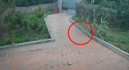 VIDEO: Cámara de seguridad capta supuesto "fantasma" en el patio de una casa