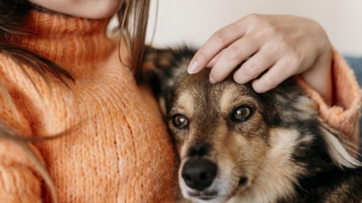 ¡Lamentable! Vivían entre la basura y su madre los obligaba a comer carne de perro