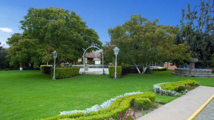 Debido a nuevos cambios, dueños de jardines podrán rentarlos para actividades económicas