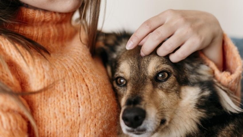 ¡Lamentable! Vivían entre la basura y su madre los obligaba a comer carne de perro