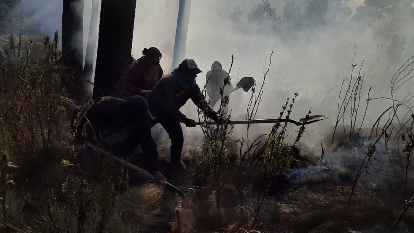 Tras 3 días de fuego, sofocan incendio forestal que consumió 500 hectáreas en el Iztaccíhuatl