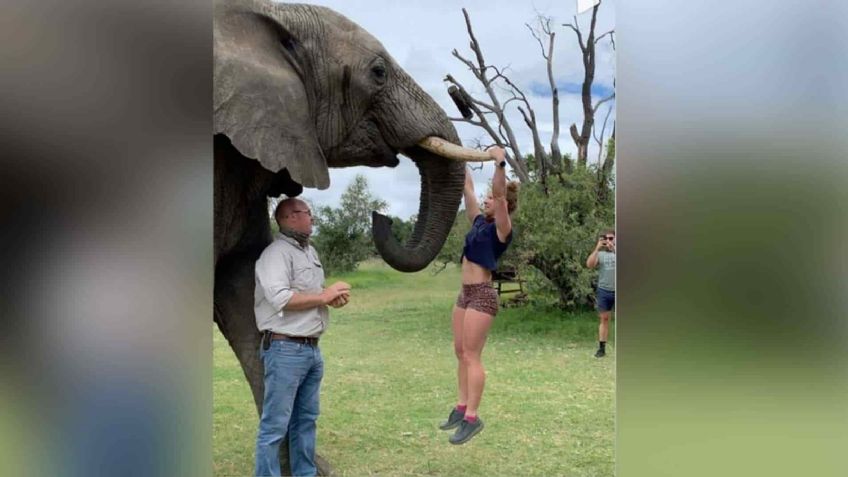 FOTO: Mujer fitness se cuelga en los colmillos de un elefante para hacer ejercicio