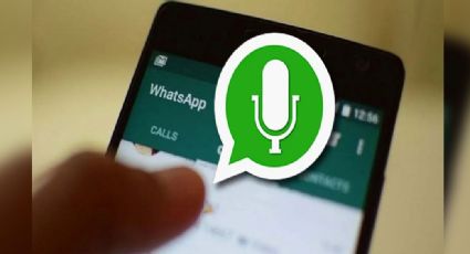 Enviar el mismo audio de WhatsApp a varios contactos es posible con estos pasos