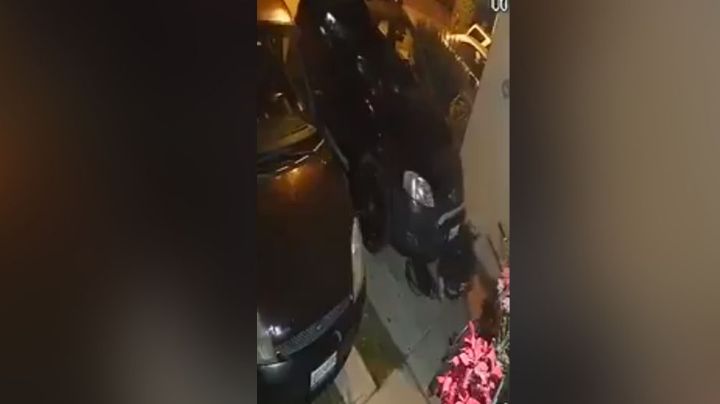 Hombres invaden domicilio y se llevan todo en menos de un minuto en Jalisco