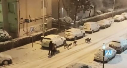 VIDEO: En plena tormenta de nieve, un hombre se pasea en un trineo jalado por perros