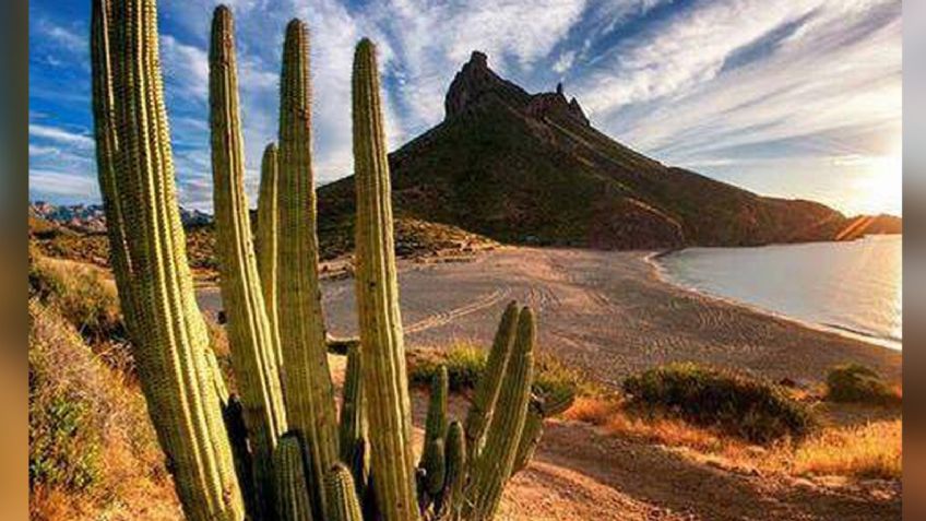 Conagua: Conoce el pronóstico del clima y el tiempo de hoy lunes 7 de febrero para Sonora