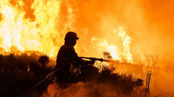 Voraz incendio deja múltiples daños materiales en recicladora ubicada en Empalme