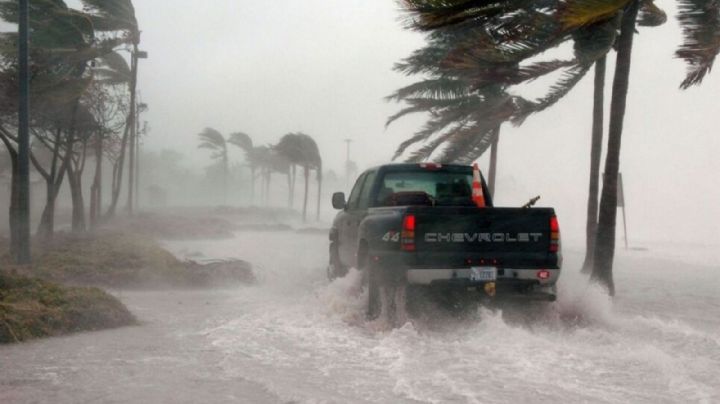 Remanentes de 'Agatha' generarían la tormenta tropical 'Alex' en el Golfo de México