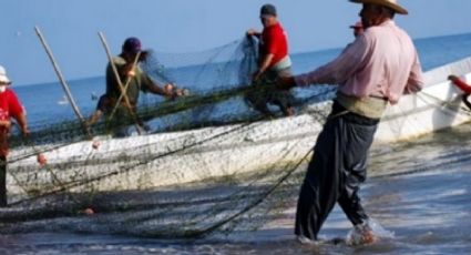 ¡Excelentes noticias! Sagarhpa atenderá problemáticas de los pescadores en Bahía de Kino
