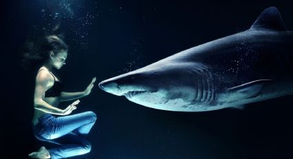 VIDEO: ¡Macabro hallazgo! Mujer va a bucear y termina frente a varios tiburones