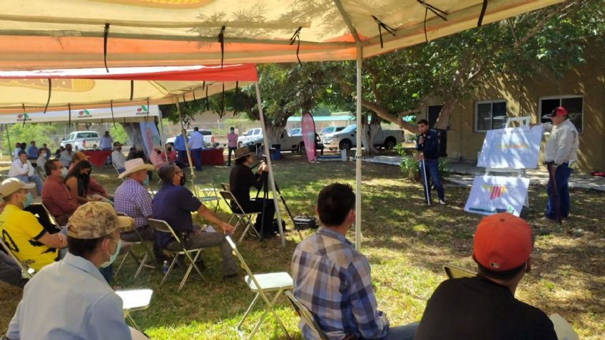 Investigadores aseguran que la siembra de maíz no requiere grandes cantidades de agua