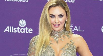(VIDEO) Aracely Arámbula impacta al bailar con coqueta ropa íntima en Instagram: "Guapa"