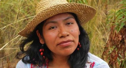 Alerta rosa en Oaxaca: Buscan a Irma Galindo, defensora del bosque desaparecida desde octubre