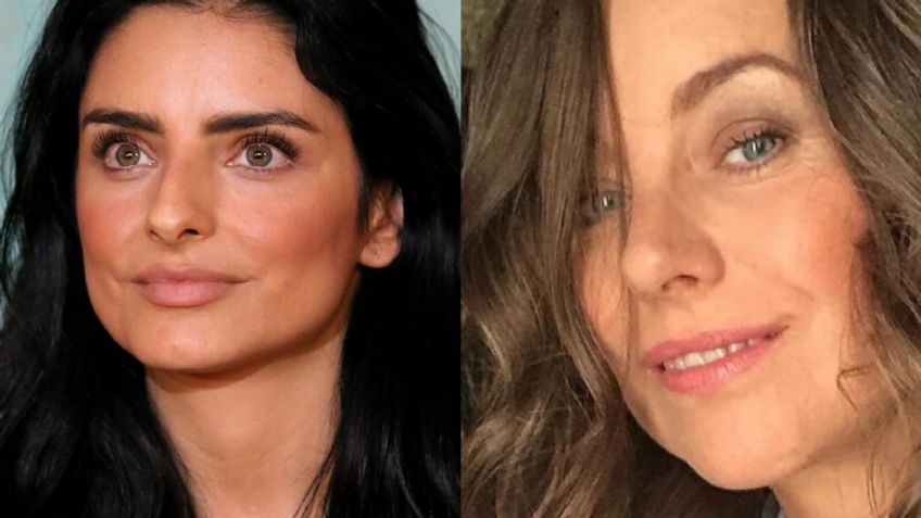 ¿Se burló? Aislinn Derbez publica FOTO artística y Dominika Paleta reacciona: "Eres un pájaro"