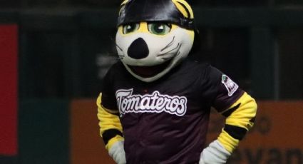 Tomateros contrata a un 'viejo' conocido de Yaquis: Tigre 'Chacho' es la nueva mascota de Culiacán