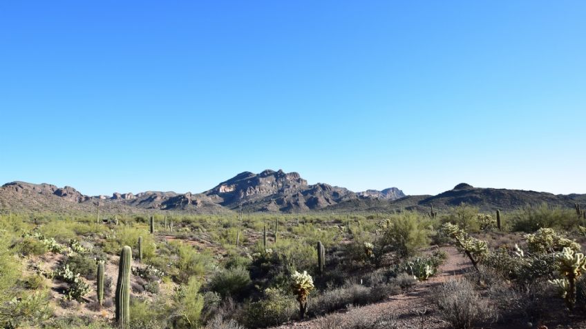 Clima en Sonora: Conagua pronostica tarde cálida para la entidad este sábado 12 de marzo